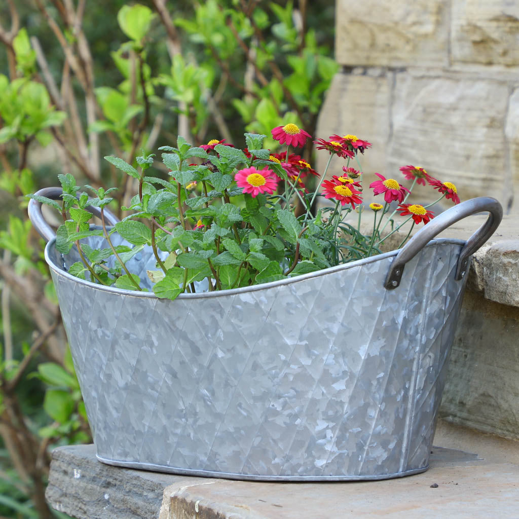Vintage Washtub Garden Trough Planter