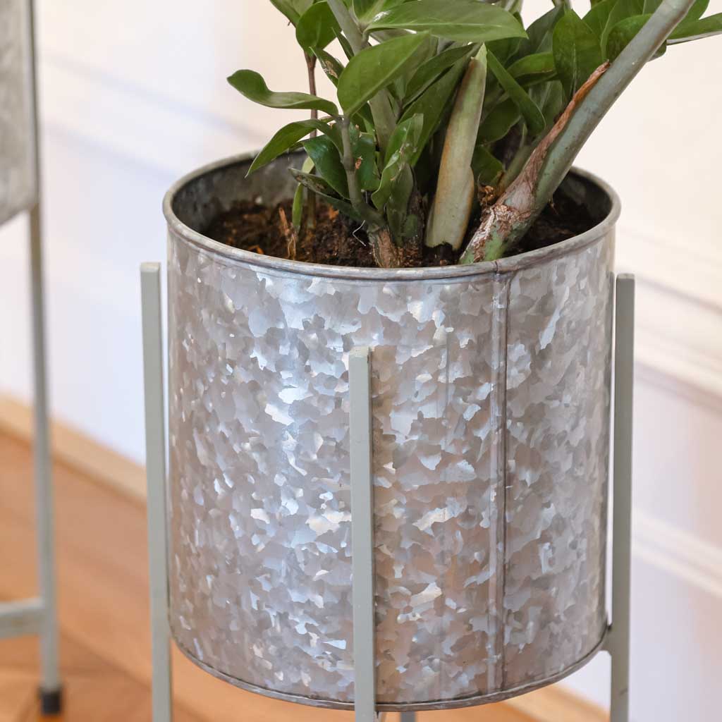 large planter