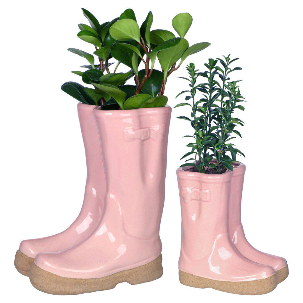 ceramic welly planters