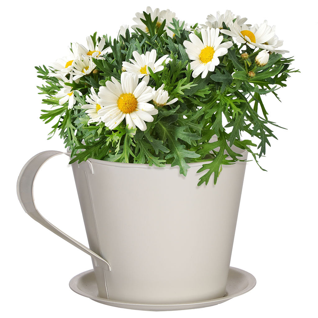 Spring Flower Planter