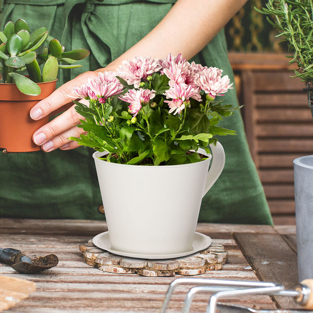 tea cup flower pot