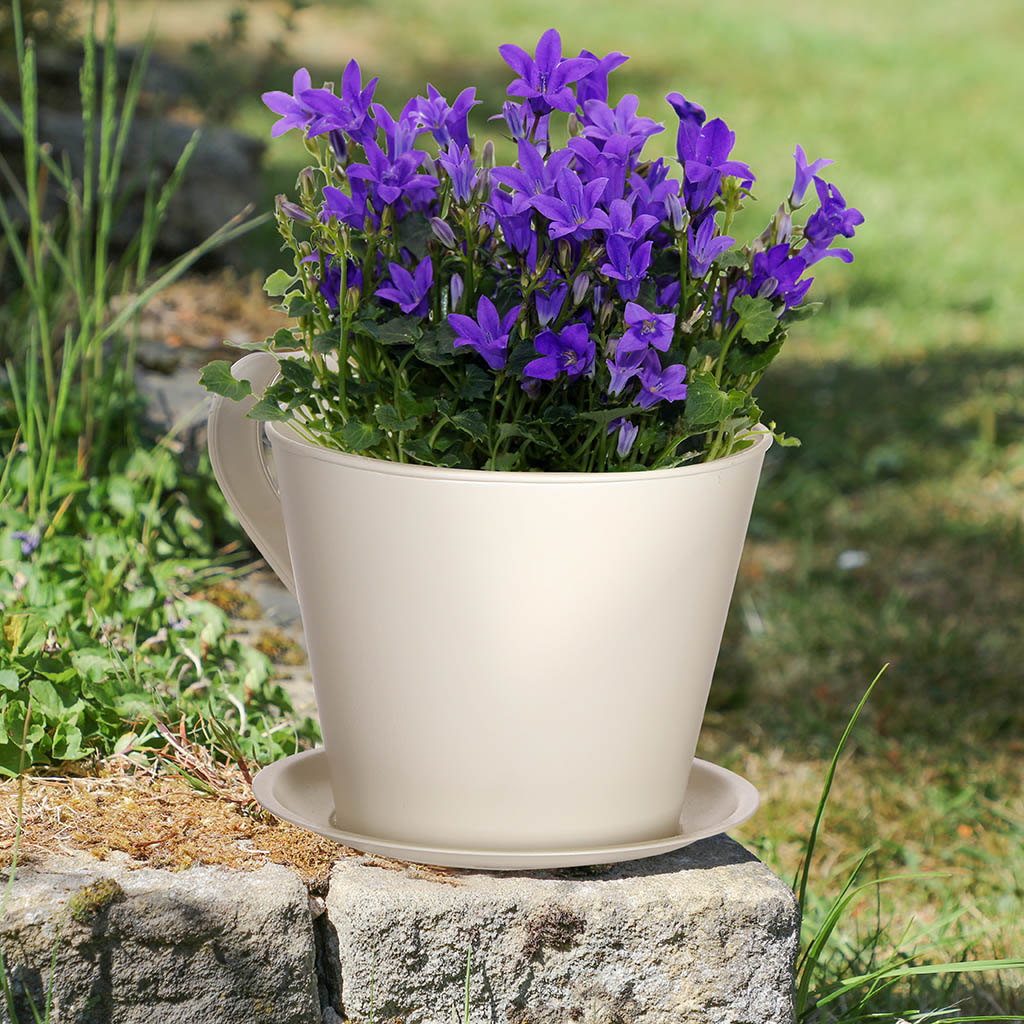 Summer outdoor garden planter