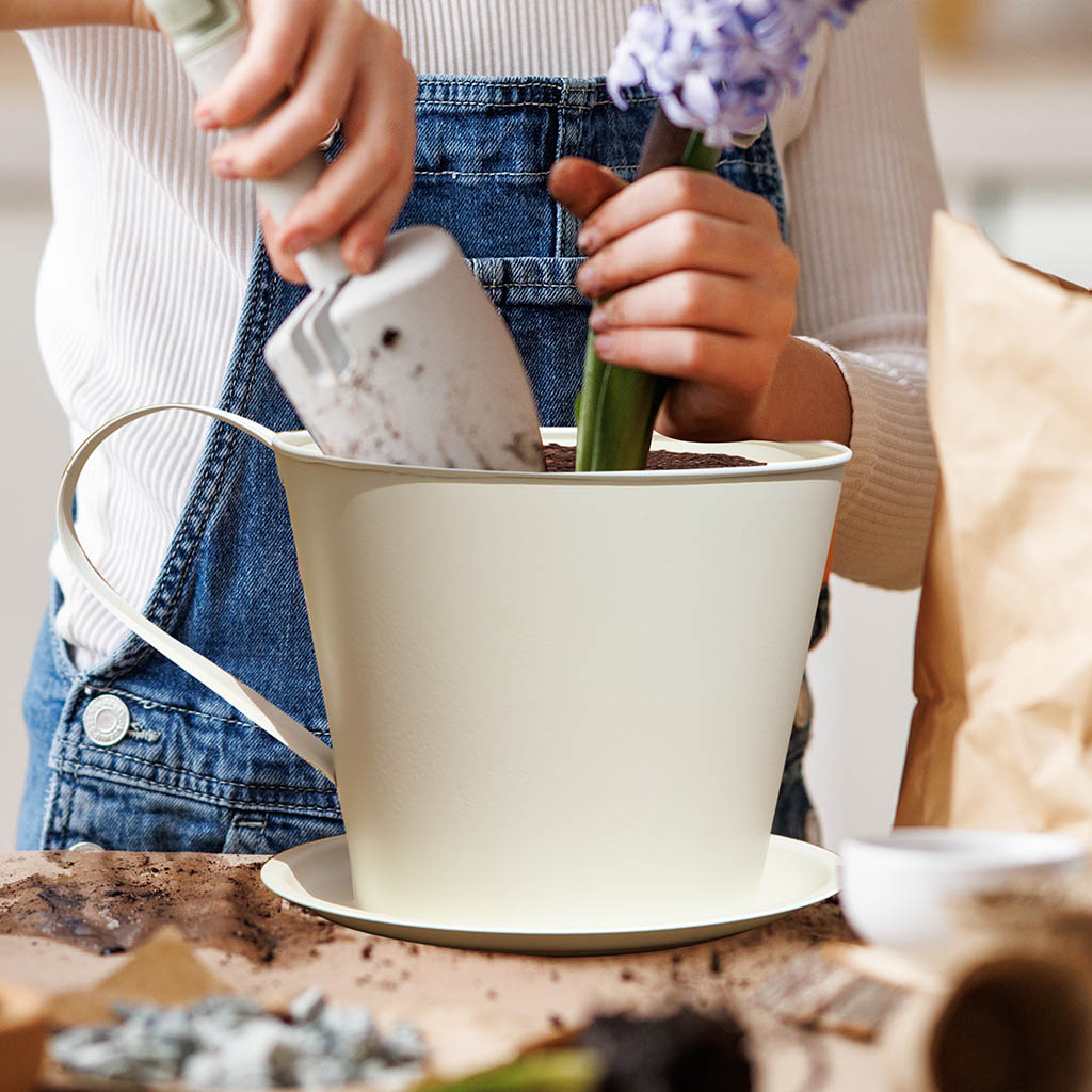 Vintage Cream Tea Cup Planter