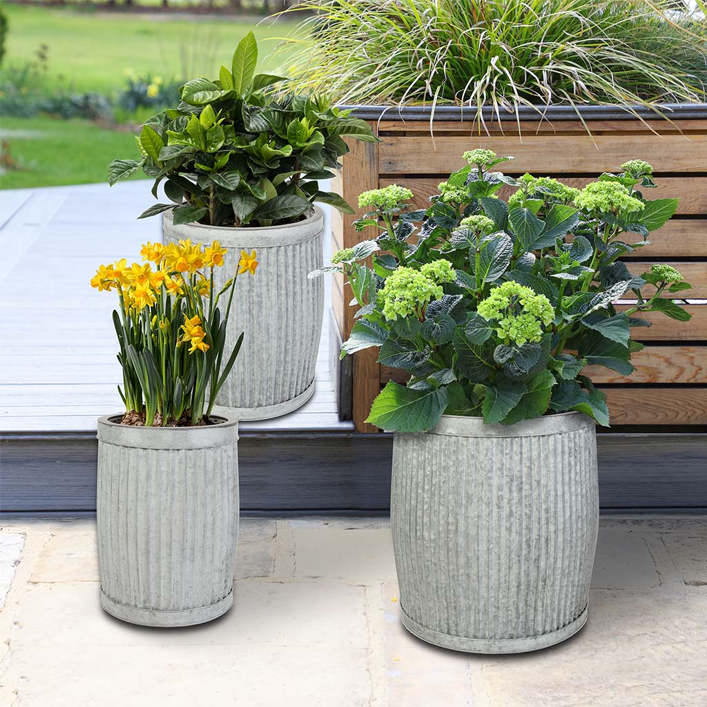 Set of 3 Ribbed Dolly Tub Barrel Planters