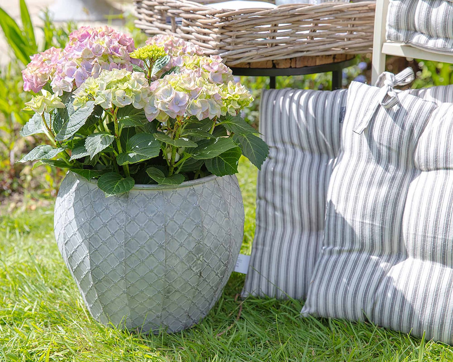 pot bellied planter