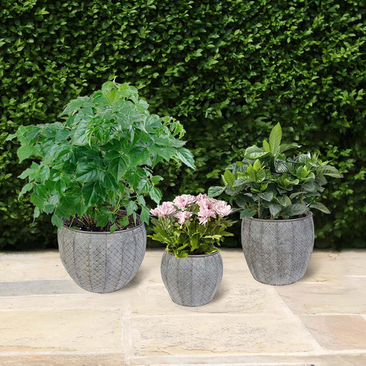 large planter tubs