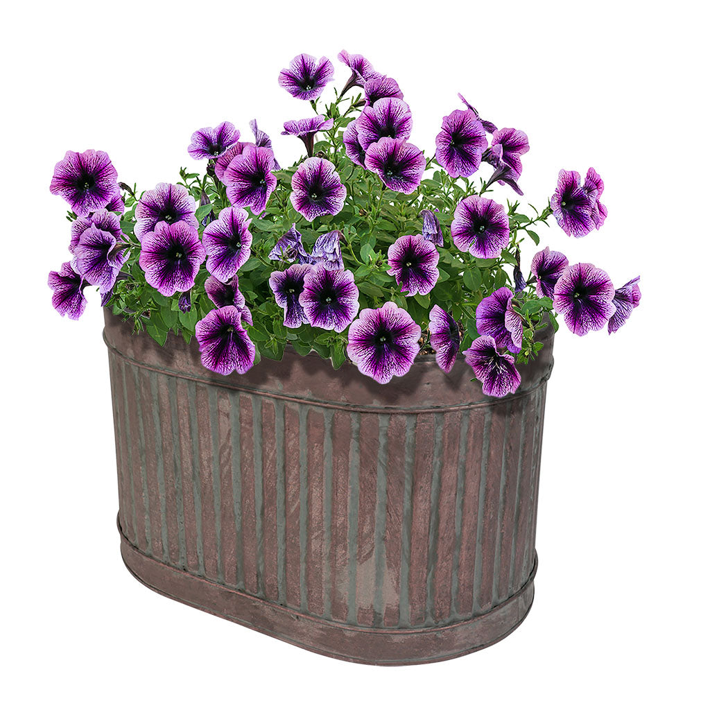 metal tub plant pots