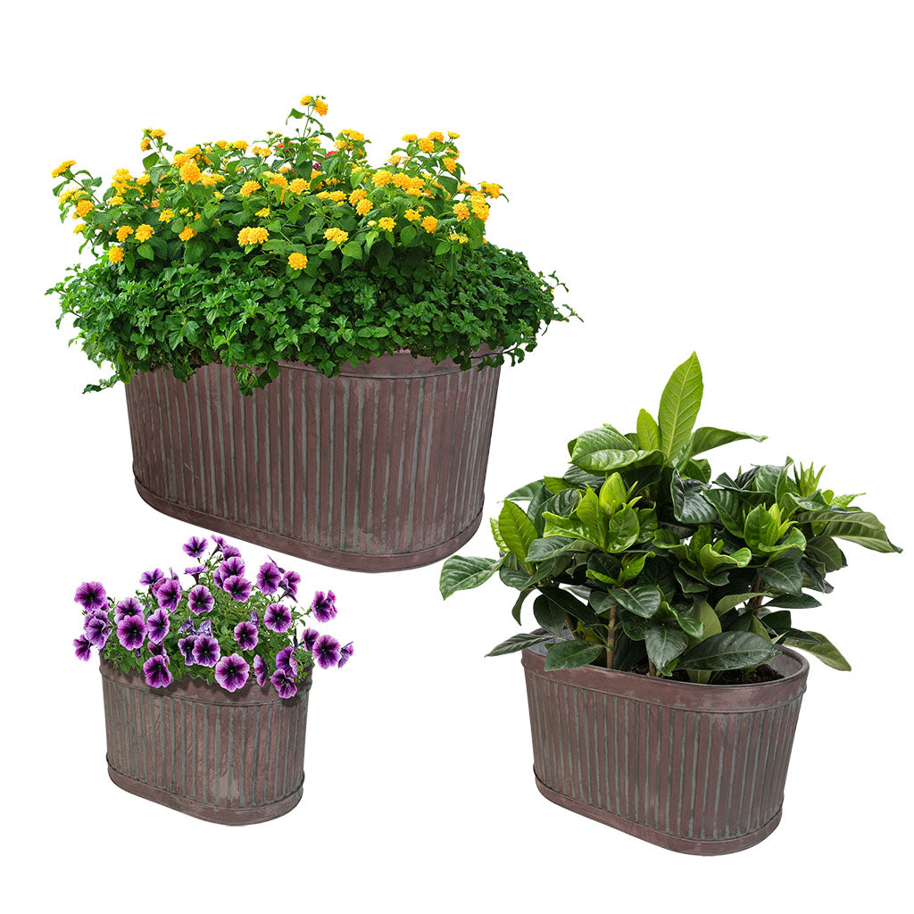 outdoor bucket planters