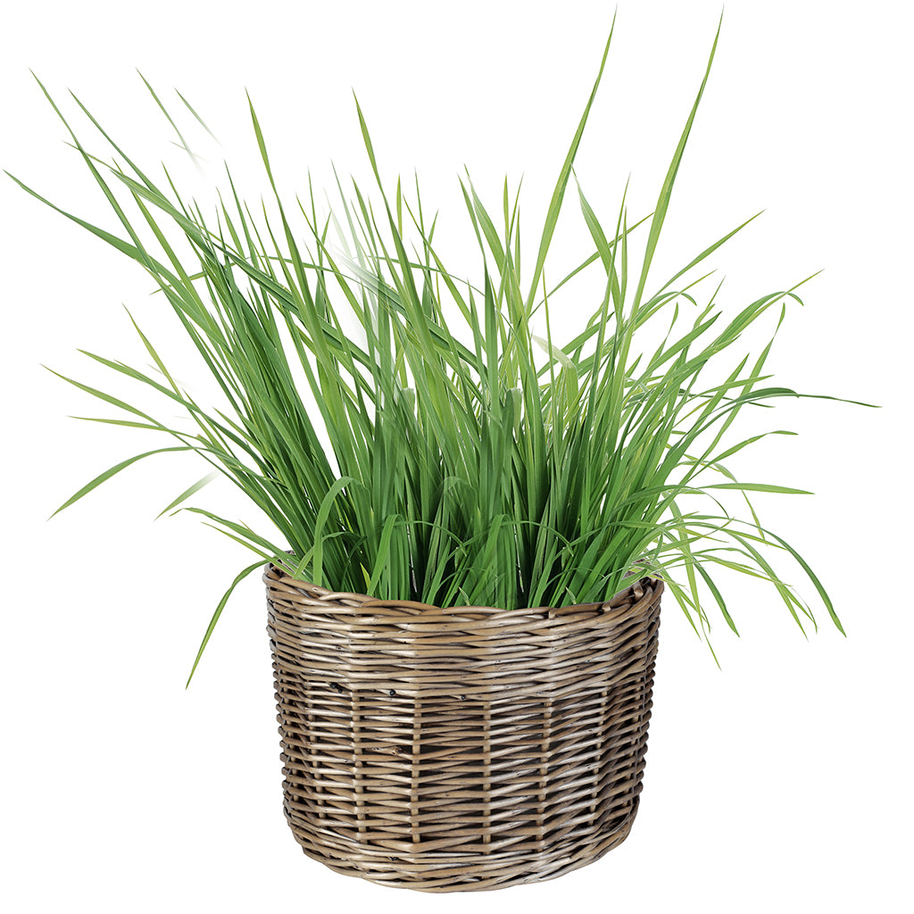 garden planter with lining