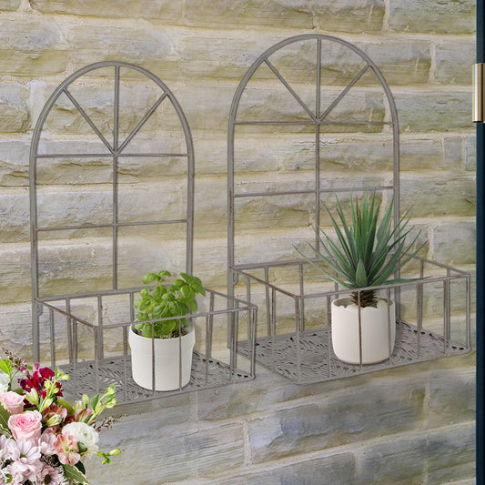 garden wall plant display