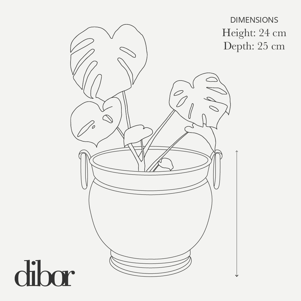 Indoor house plant pot size guide